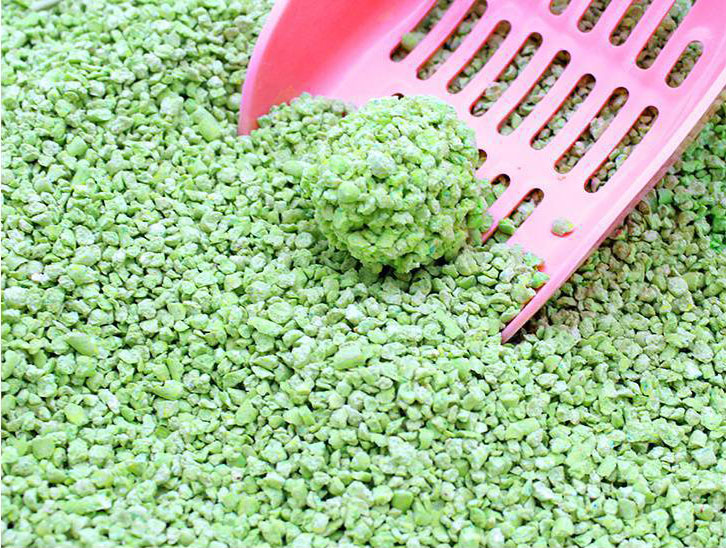 Crushed Green Tea Tofu Cat Müll
