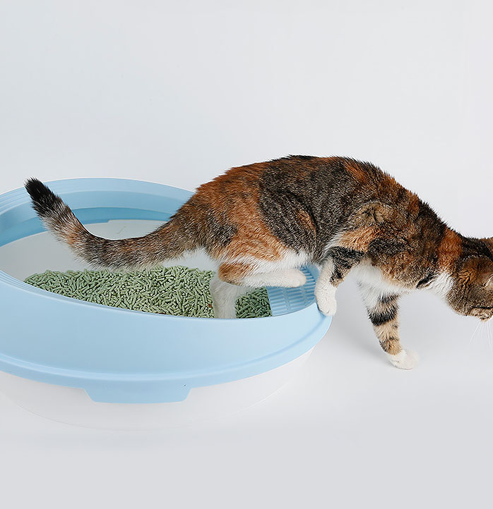 Aloe -Duft no giftiger Haustiere Reinigen Tofu -Katzenstreu